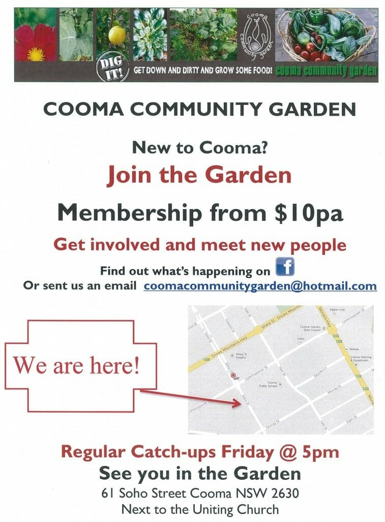 cooma community garden friday catchups