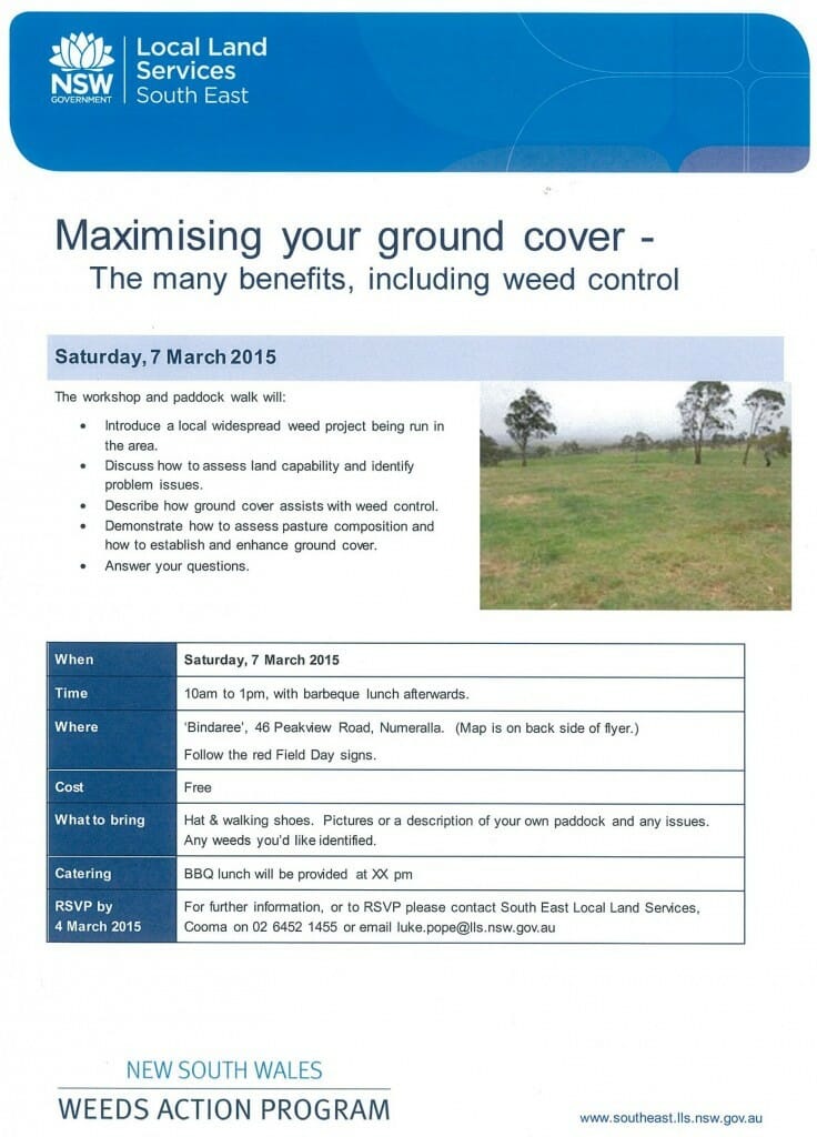 maximising your ground cover