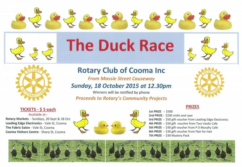 rotary duck race 2015