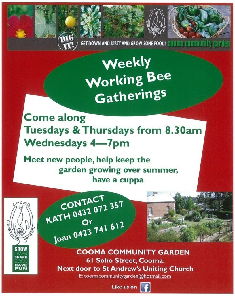 cooma community garden weekly working bee gatherings