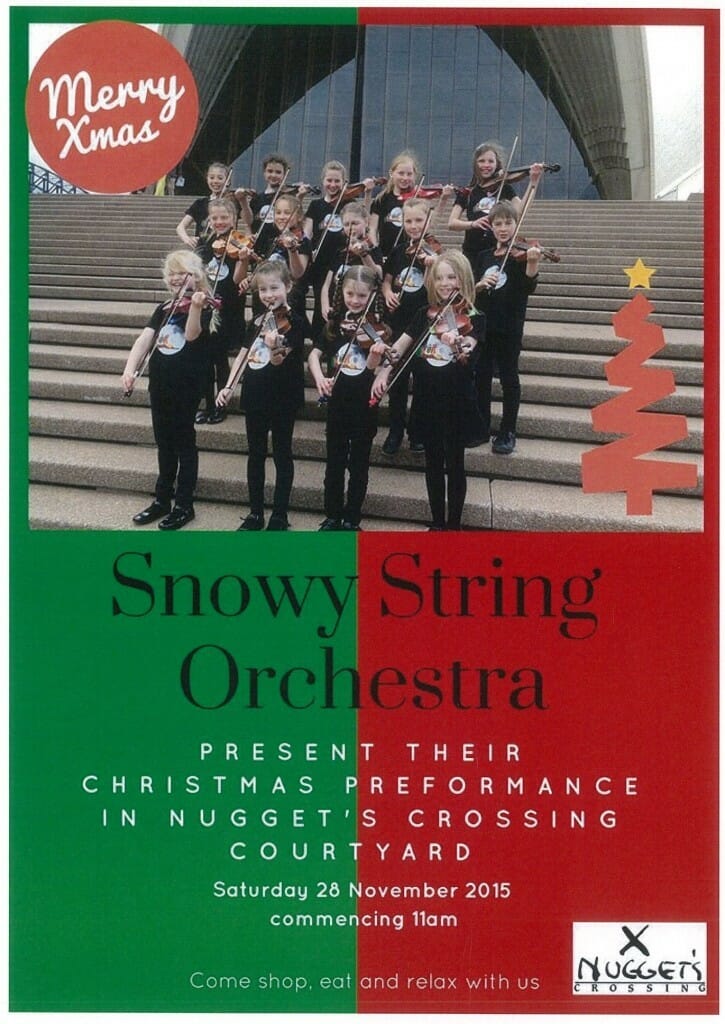 snowy string orchestra 28 nov 15