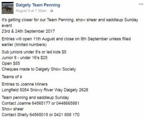 Dalgety Team Penning