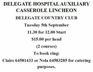 Delegate Hospital Auxiliary Casserole Luncheon