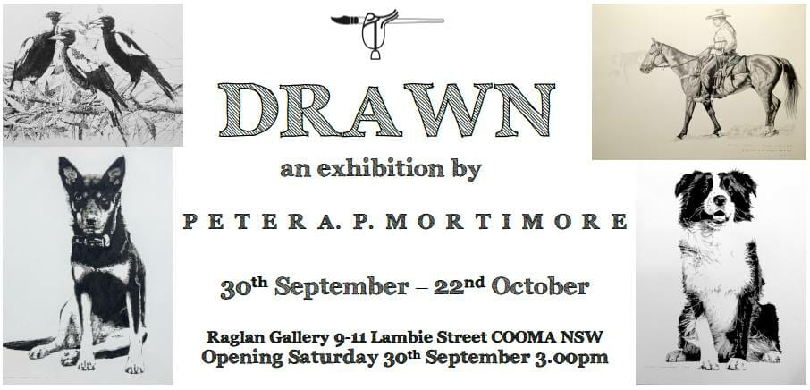 Drawn Exhibition Raglan Gallery Cooma