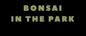 Bonsai in the Park Centennial Park Cooma