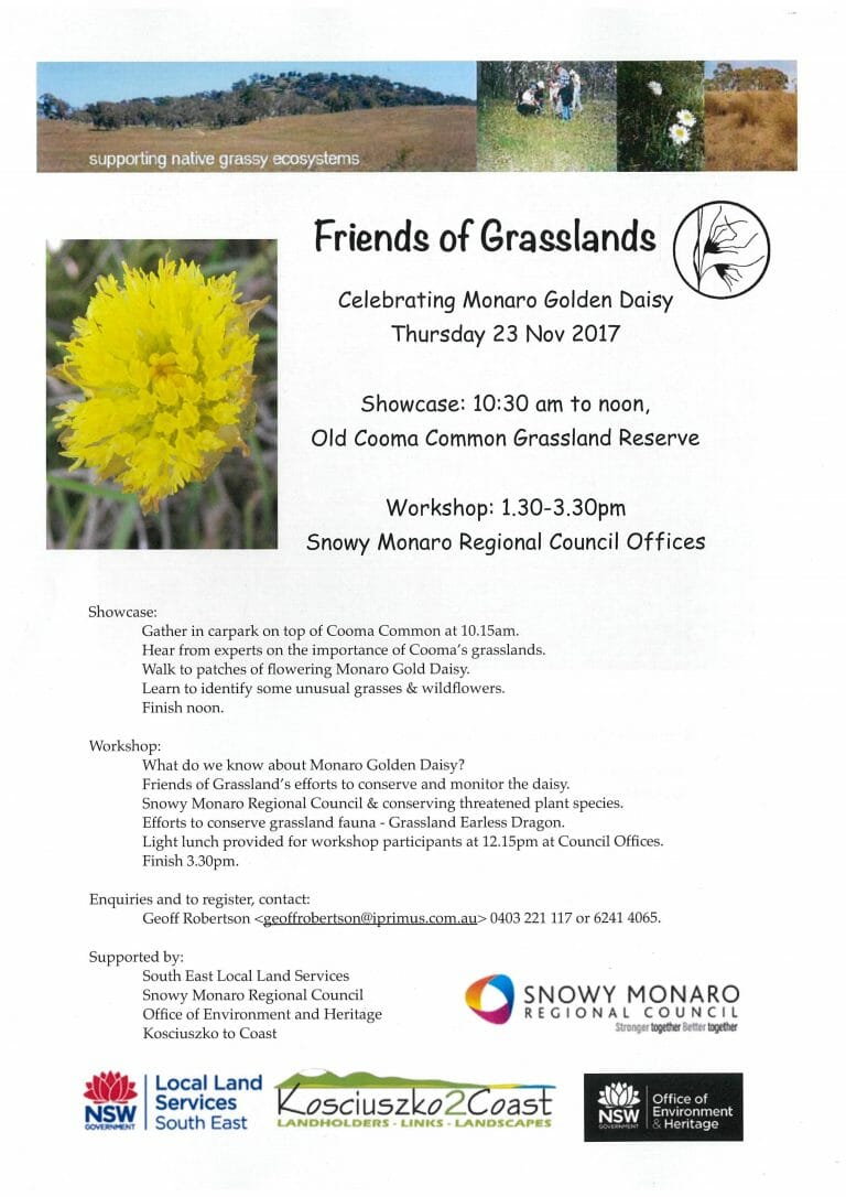 Friends of Grasslands – Celebrating Monaro Daisy – Showcase in the field and Workshop
