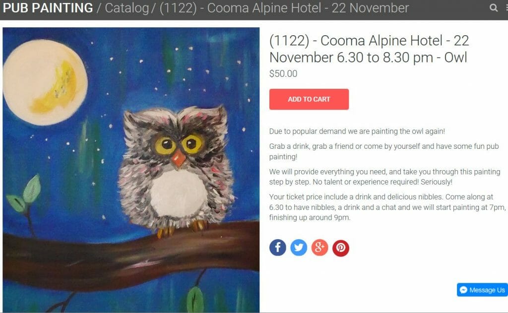 Pub Painting Cute Owl Alpine Hotel Cooma November 2017
