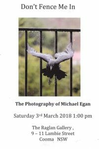 Michael Egan Don't Fence Me In exhibition Raglan Gallery Cooma