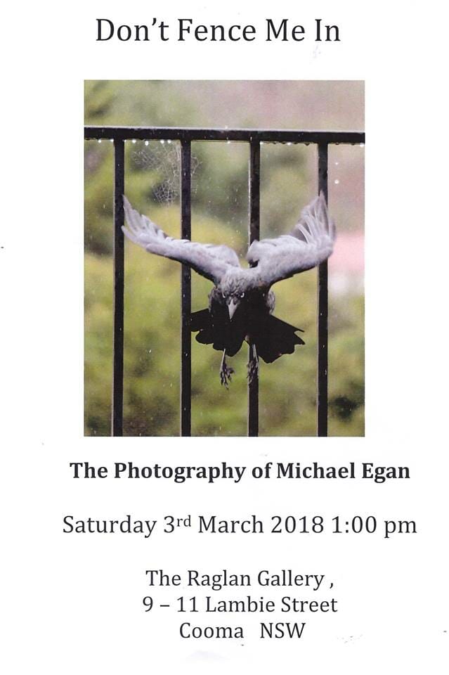 Michael Egan Exhibition ‘Don’t Fence Me In’ at the Raglan Gallery, Cooma