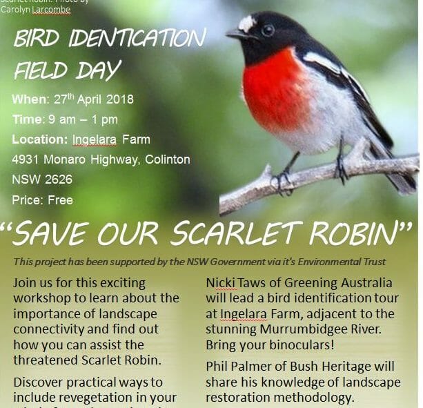 Bird Identification Field Day – SAVE OUR SCARLET ROBIN