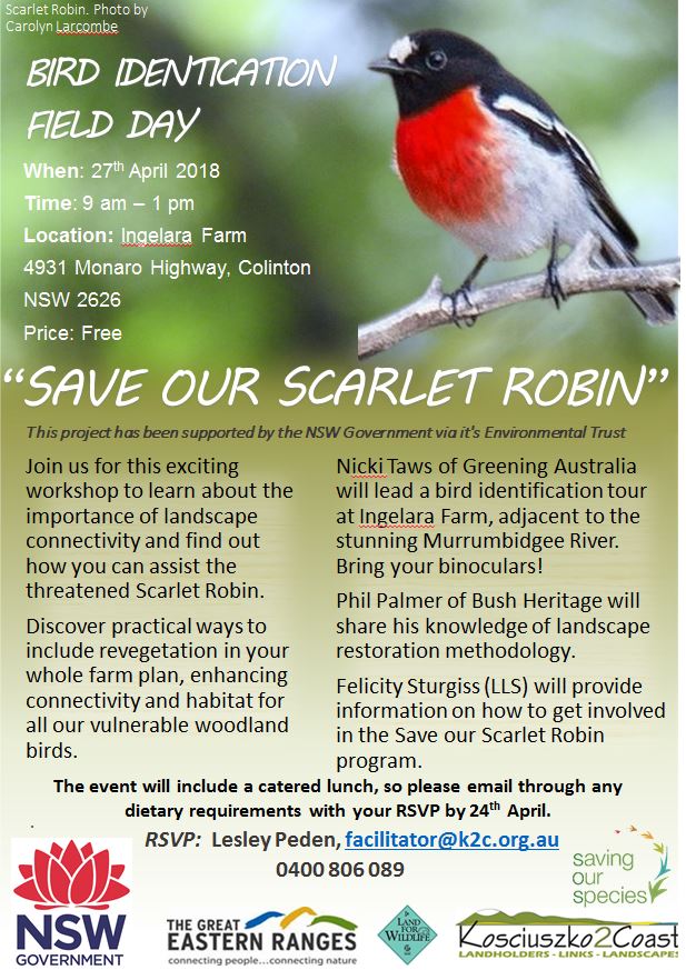Save Our Scarlet Robin Bird Identification Field  Day