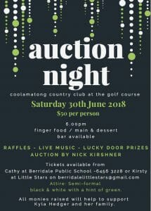 Auction Night Fundraiser for Kyla