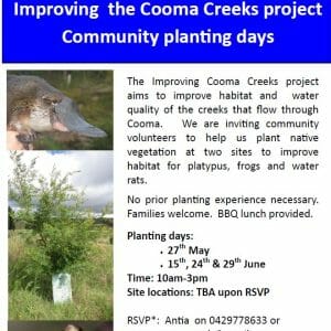 Improving Cooma Creek project