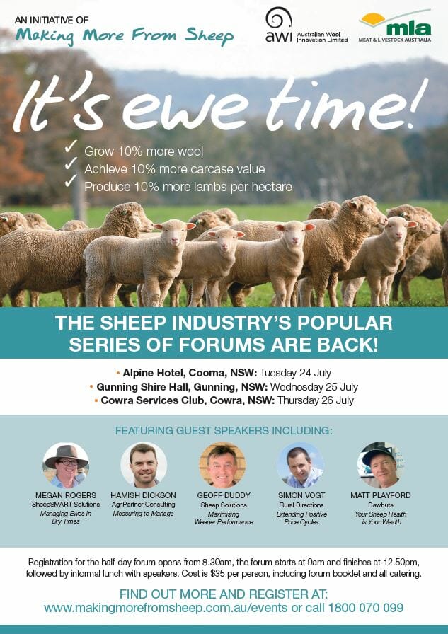 It’s ewe time! Forum – a Making More From Sheep Initiative