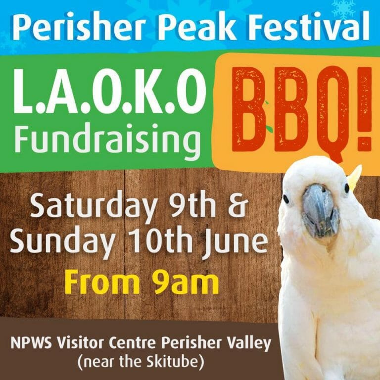 L.A.O.K.O Fundraising BBQ at Perisher Peak Festival