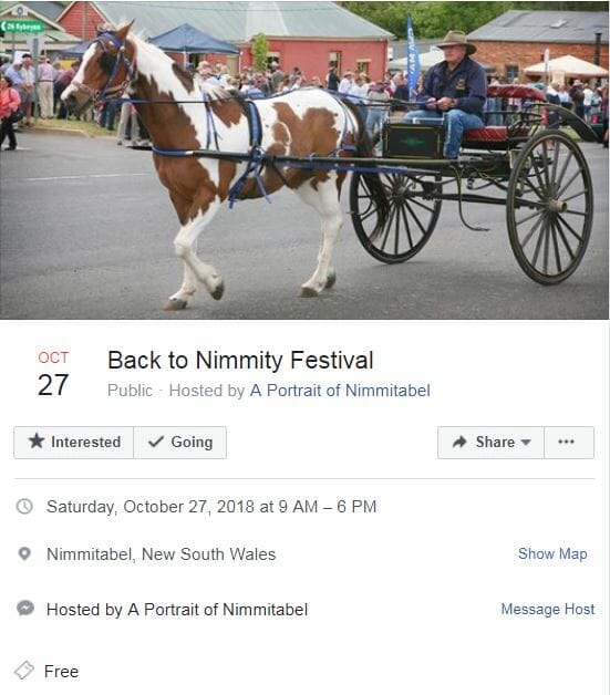 Back to Nimmity Festival – Nimmitabel