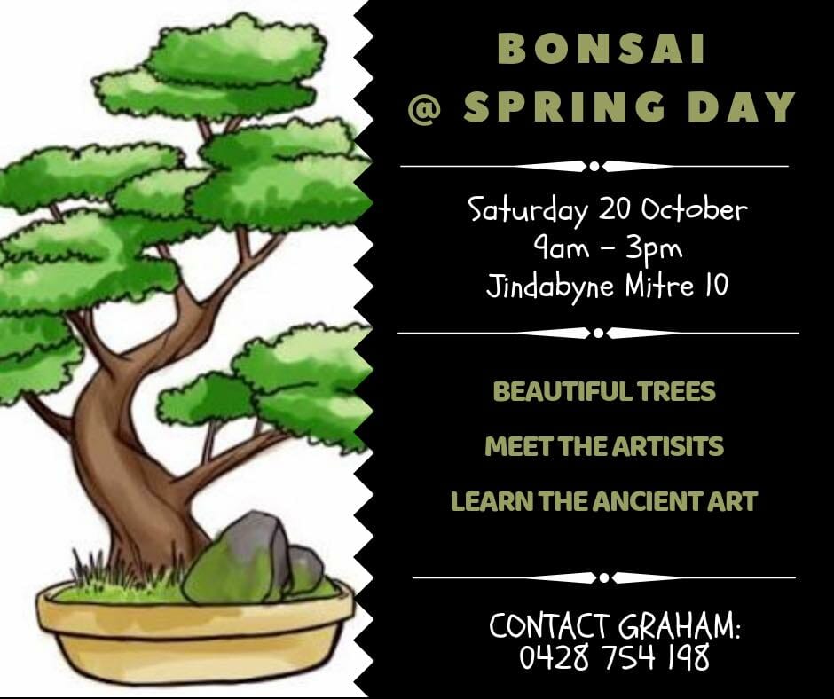 Bonsai Mitre 10 Annual Spring Day