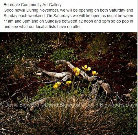 Berridale Community Art Group Gallery