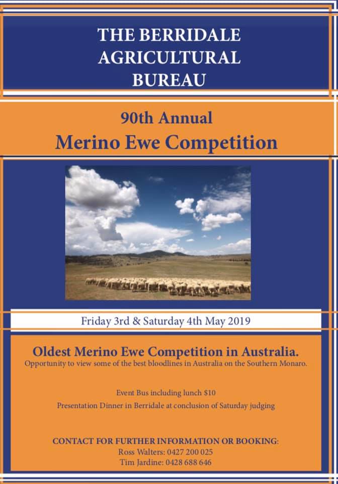 Berridale Ag Bureau Monaro Merino Ewe Competition