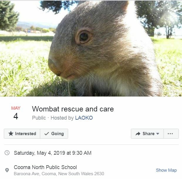 LAOKO Wombat rescue and care course