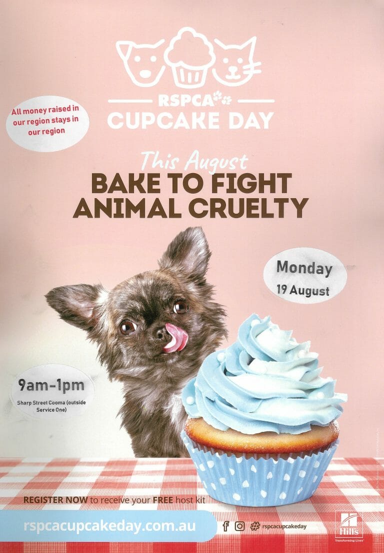 Rspca Cupcake Day 2024 Tickets Leda Sharyl