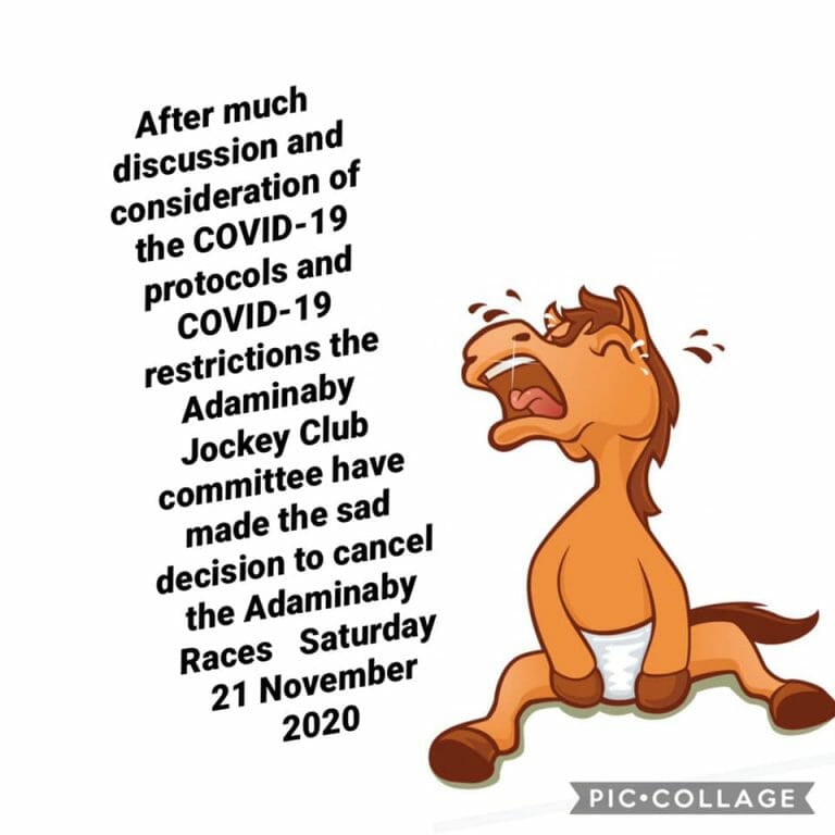 Adaminaby Races 2020 – CANCELLED – 2021 Disney theme