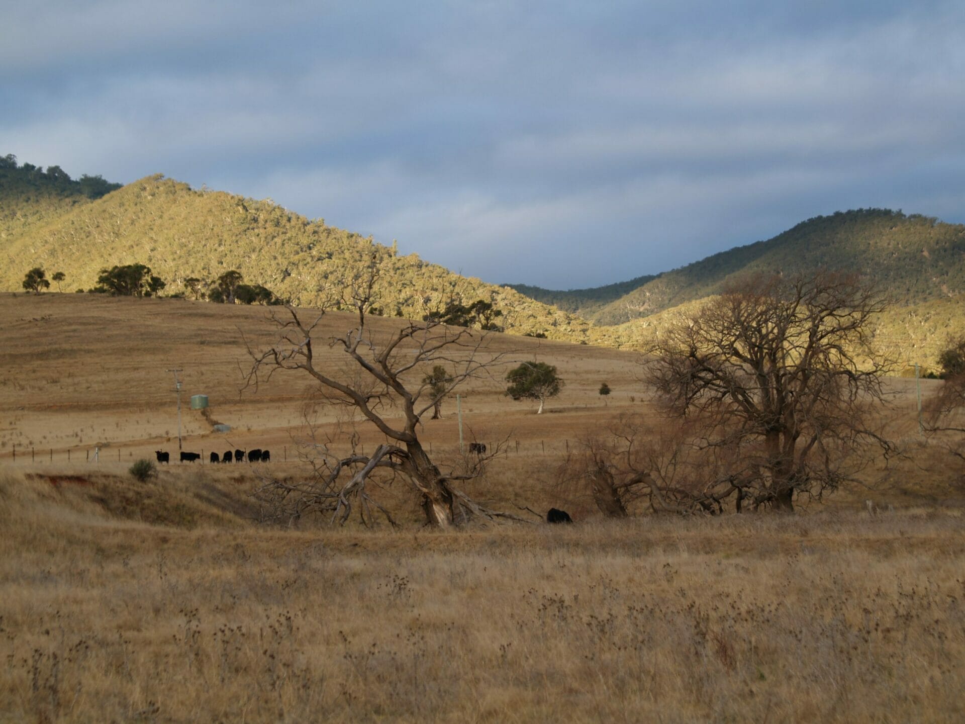 Images & Video Visit Cooma