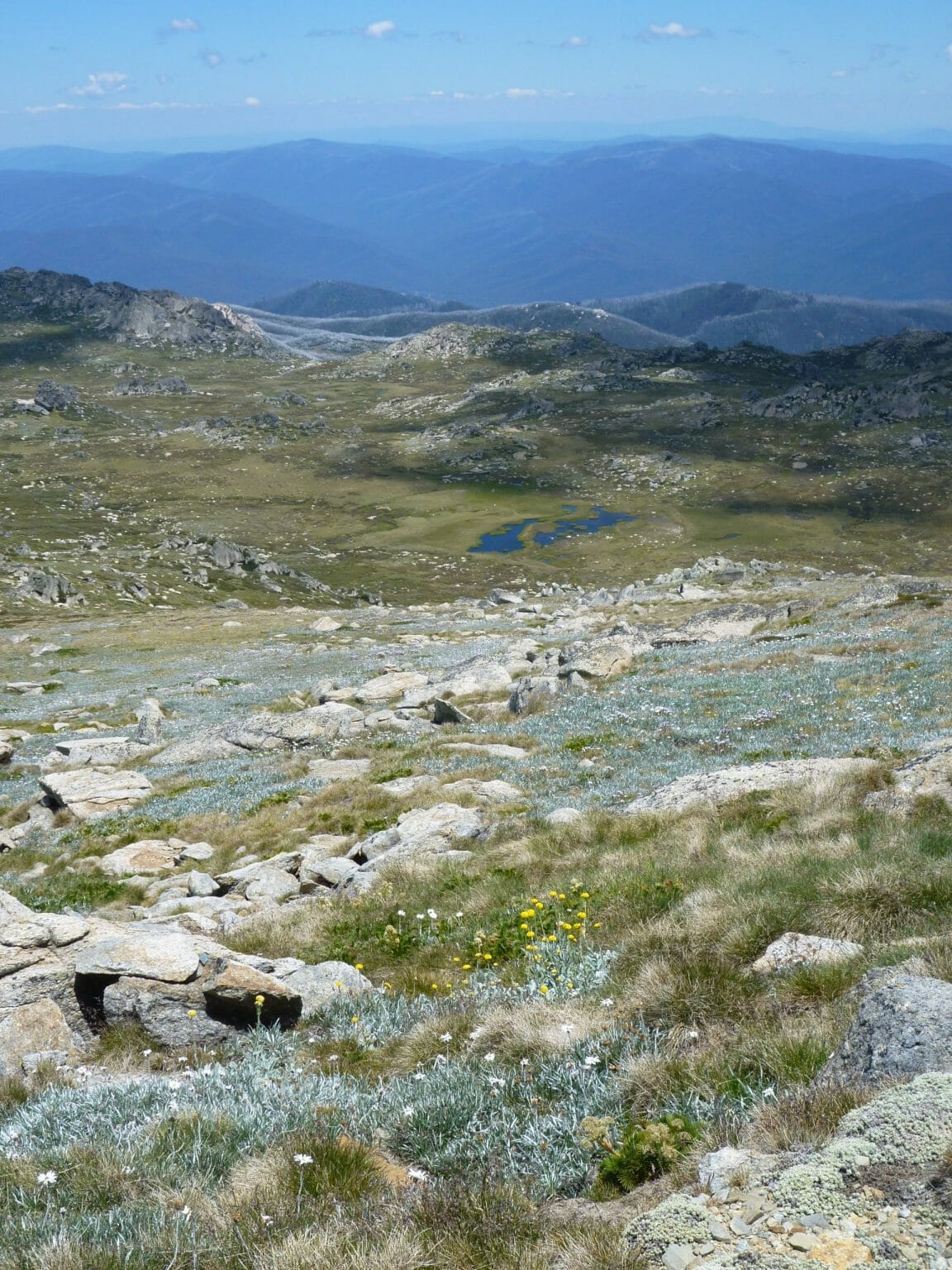 Visit Cooma site Villages Thredbo Featured Image Visit Cooma