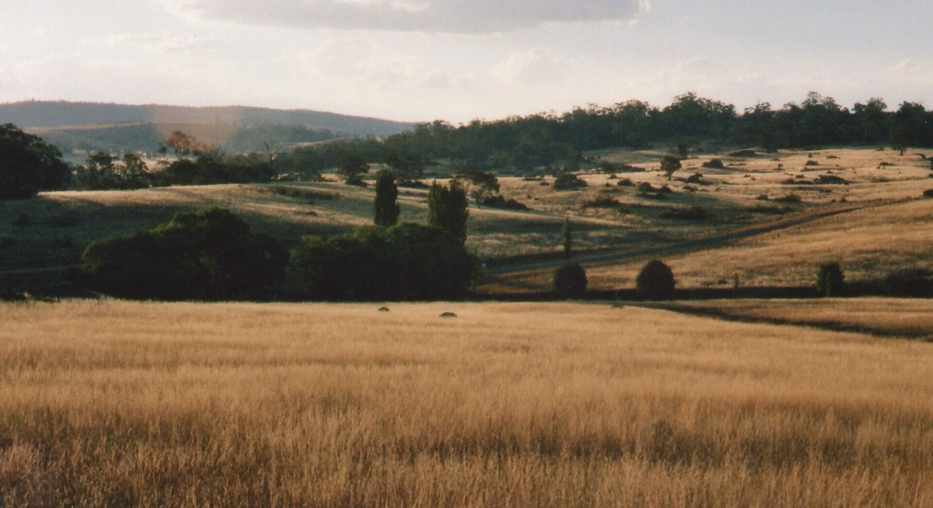 Berridale Snowy Mountains Visit Cooma