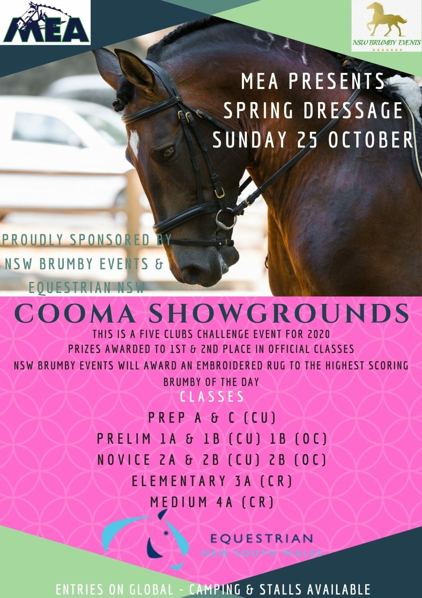 MEA Spring Dressage Poster October 2020 (1) - Visit Cooma