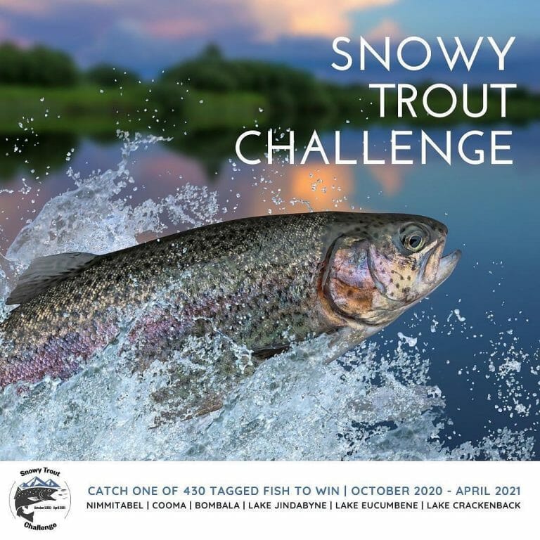 Snowy Trout Challenge