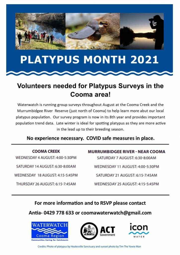 Platypus Month