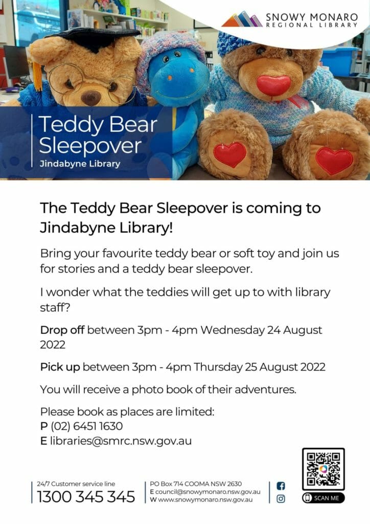 Teddy Bear Sleepover Visit Cooma