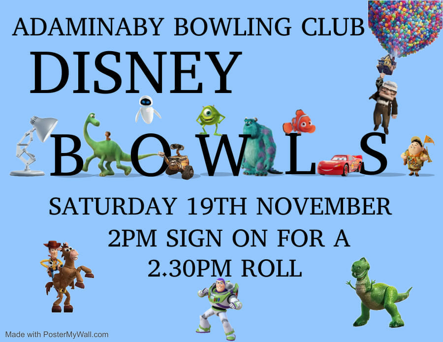 Adaminaby Disney Bowls