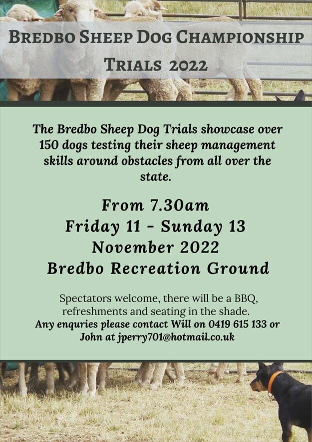 Bredbo Sheep Dog Championship Trials 2022