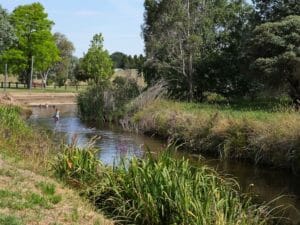 Delegate Caravan Park Swimming