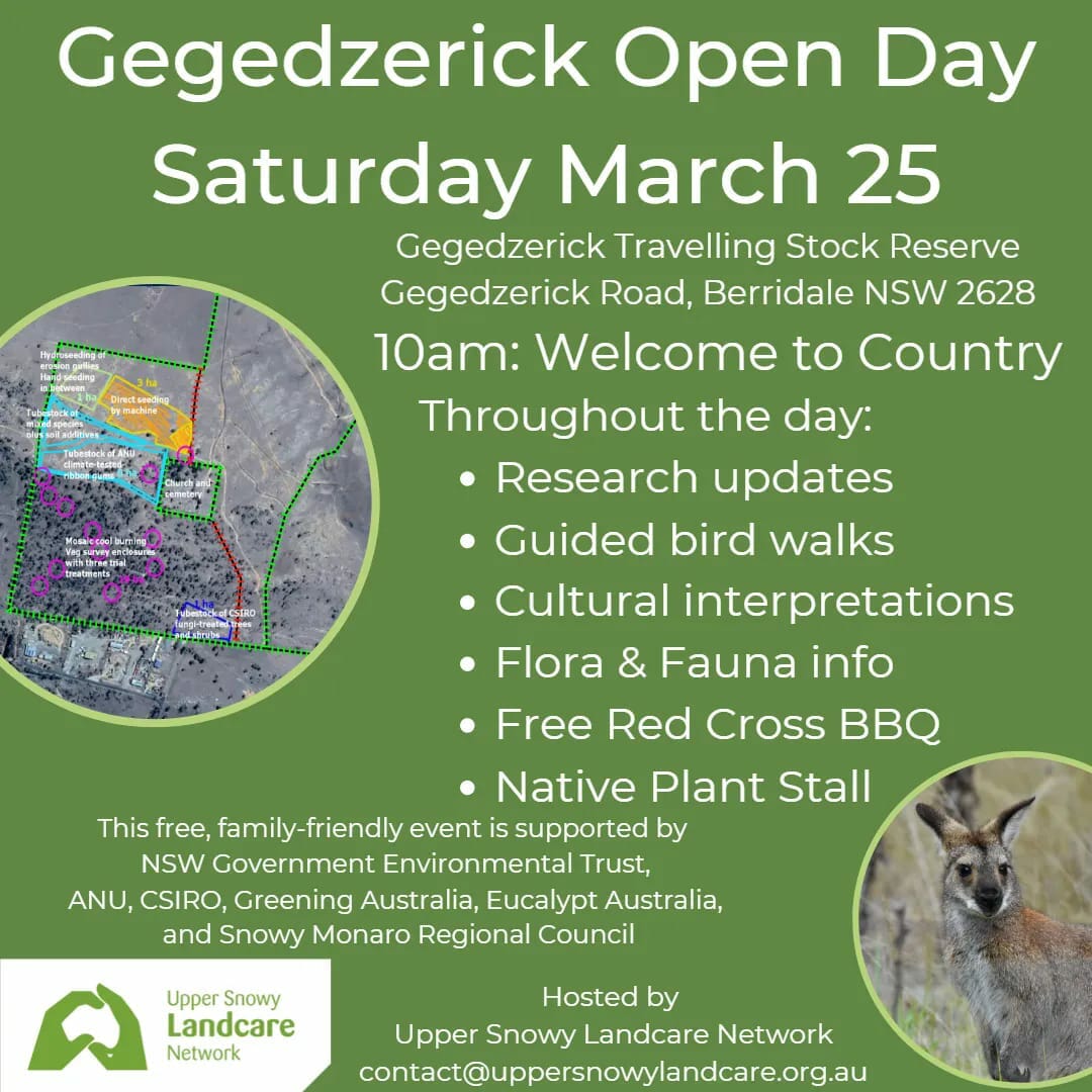 Gegedzerick Open Day - Visit Cooma