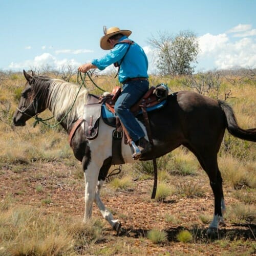 Horse Riding Australian Saddle Safaris Visit Cooma