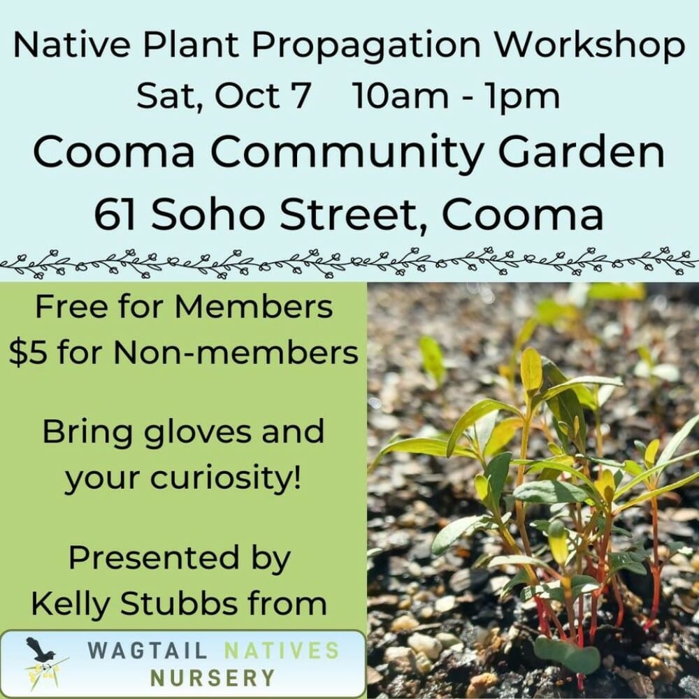 Native Plant Propagation Visit Cooma